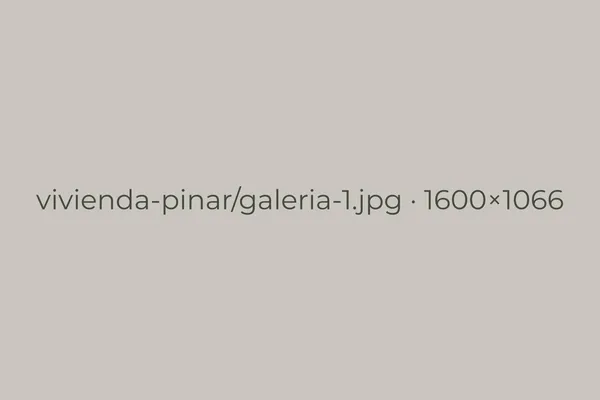 Obra en curso con la estructura de madera montada