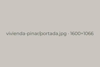 Volumen de madera de la vivienda entre los pinos